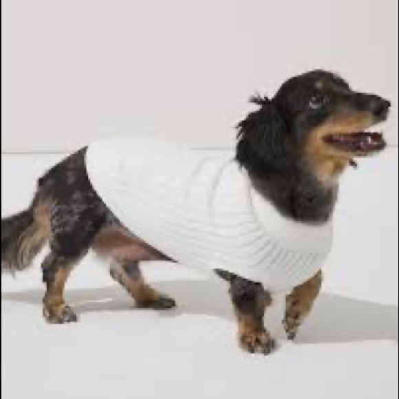 Soma Other - Soma off white pet sweater + vera bradley collar L